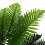 Living And Home 90CM Realistic Artificial Palm Tree with Pot 3