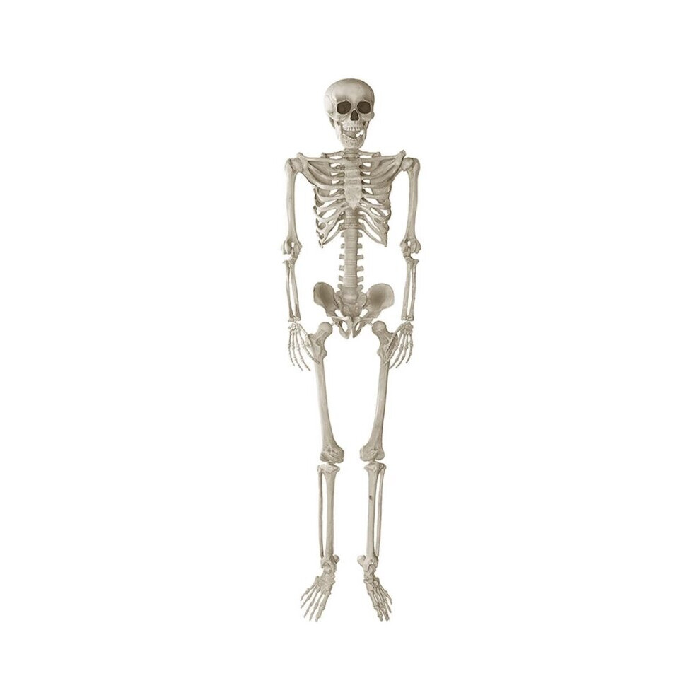 Rtyryh Poseable Life-Size Skeleton Halloween Decoration - 170Cm