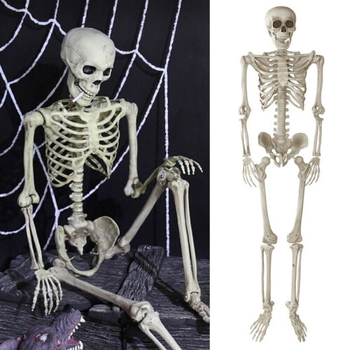 Poseable Life-Size Skeleton Halloween Decoration - 170cm 2
