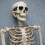 Poseable Life-Size Skeleton Halloween Decoration - 170cm 4