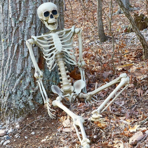 Poseable Life-Size Skeleton Halloween Decoration - 170cm 1