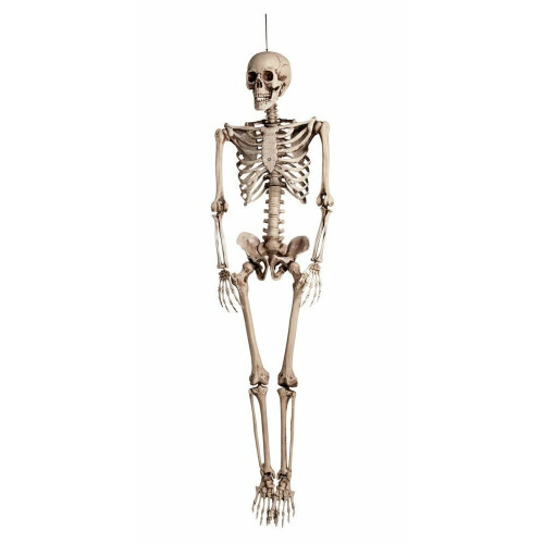 165cm Giant Skeleton Plastic Human Full Halloween Party Decoration