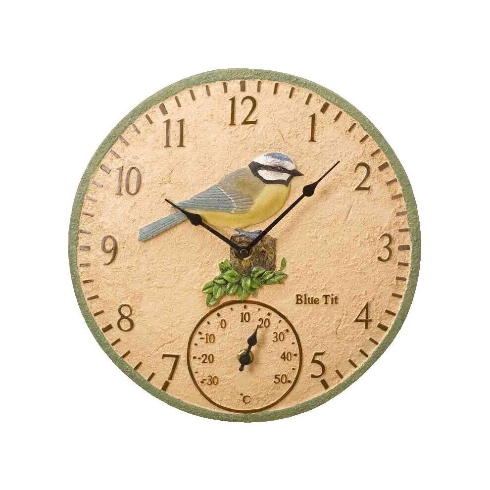 Smart Solar Tit Wall Clock And Thermometer By Smart Garden Blue