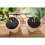 Kärcher Karcher Flower Pot Irrigation Set 8