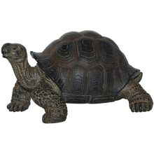 Pet Pal Baby Tortoise in Carrier