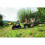 Rolly Toys Massey Ferguson 8650 Tractor with Frontloader 2