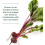 MegaFood, Eisen Blutbilder, 180 Tabletten 3
