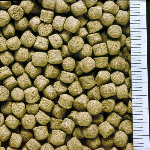 Hikari 12-Ounce Cichlid Excel Sinking Pellets for Pets, Mini 1