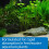 API LEAF ZONE Freshwater Aquarium Plant Fertilizer 473 ml Bottle 6
