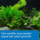 API LEAF ZONE Freshwater Aquarium Plant Fertilizer 473 ml Bottle 3