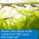 API pH UP Freshwater Aquarium Water pH Raising Solution 118 ml Bottle 5