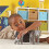 Learning Resources Learning Resources Jumbo Jungle Animals - Mommas and Babies 4