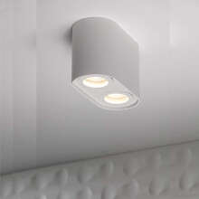 CGC White Twin Round Cylinder Surface Mount Ceiling Spotlight Downlight High End Hotel Style Double Spot Down Light