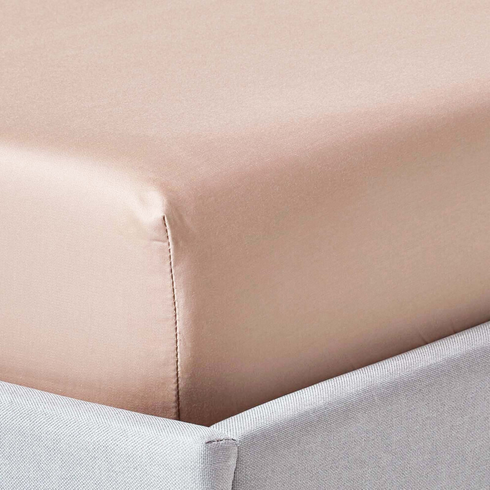 Homescapes (Double, Beige) Egyptian Cotton Fitted Sheet 1000 Tc
