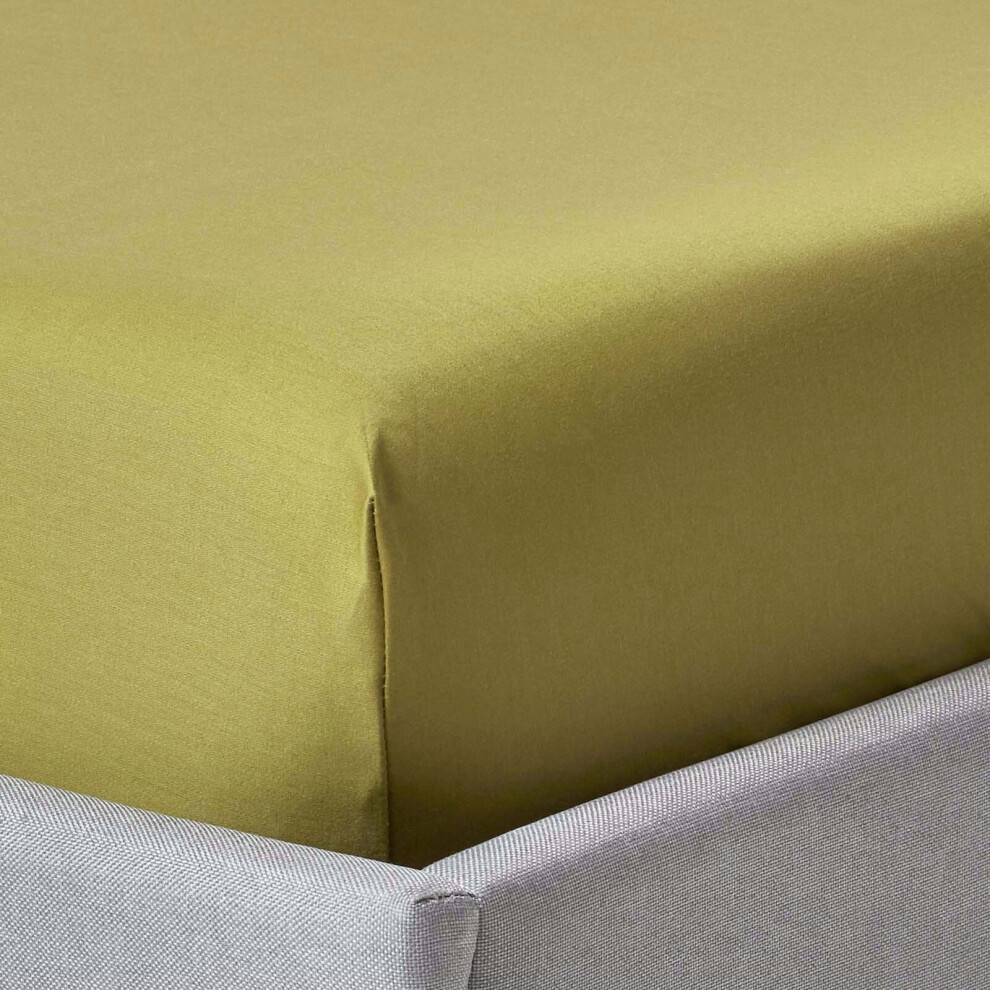 Homescapes (Small Double, Green) Egyptian Cotton Fitted Sheet 1000 Tc
