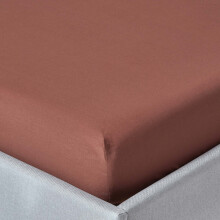 (Single, Chocolate) Egyptian Cotton Fitted Sheet 200 TC