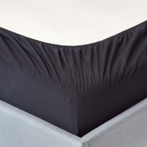 Homescapes (Single, Black) Egyptian Cotton Fitted Sheet 200 TC 1