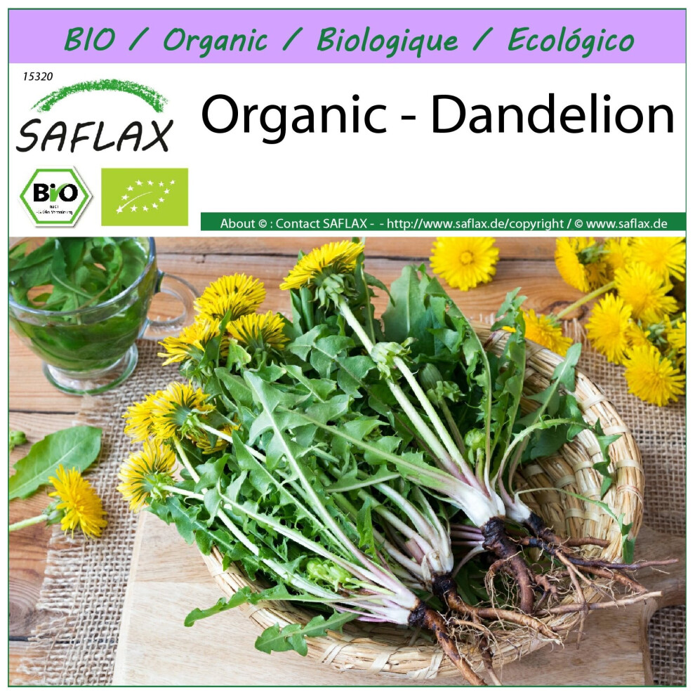 Saflax - Organic - Dandelion - 400 Seeds - Taraxacum Officinale