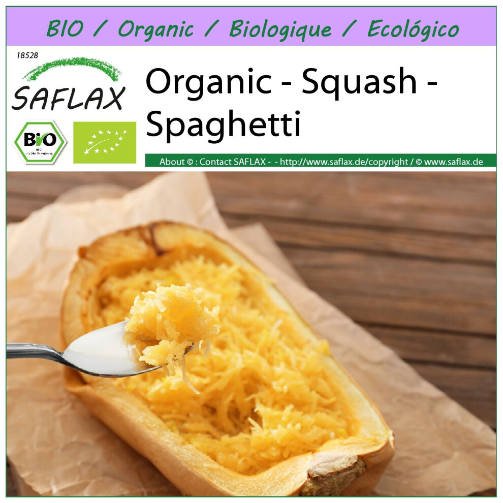 SAFLAX - Organic - Squash - Spaghetti - 5 seeds  - Cucurbita pepo