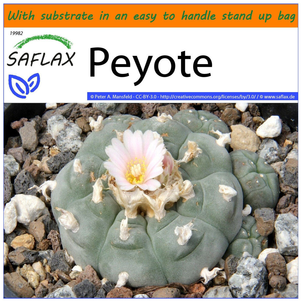 SAFLAX - Garden in the Bag - Peyote - 20 seeds - With substrate in a fitting stand up bag - Lophophora williamsii