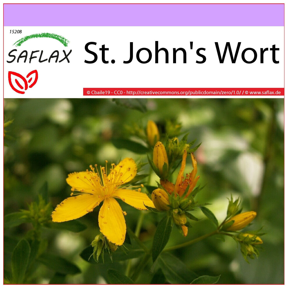 SAFLAX - St. John's Wort - 300 seeds  - Hypericum perforatum