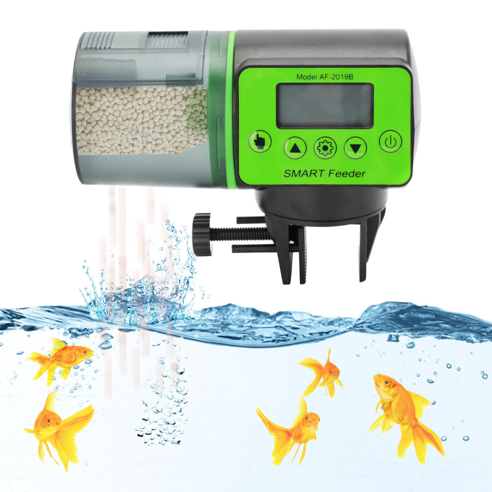 Auto feed fish tank best sale