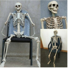 Life-Size Hanging Skeleton Prop for Halloween & Horror Parties - Fully Poseable, Realistic Decoration