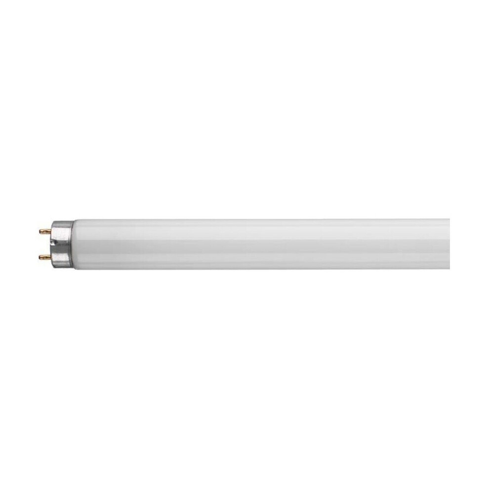 Crompton Lamps Fluorescent 6ft T8 Tube 70W Triphosphor Daylight F70W/865