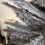 Snow Time Snowtime 244cm / 8ft Wrapped Pencil Pine Grey Christmas Tree with 460 Tips 6