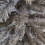 Snow Time Snowtime 244cm / 8ft Wrapped Pencil Pine Grey Christmas Tree with 460 Tips 5