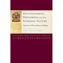 Distinguishing Phenomena from Their Intrinsic Nature