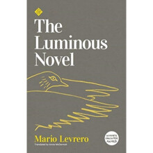 The Luminous Novel - Mario Levrero - book