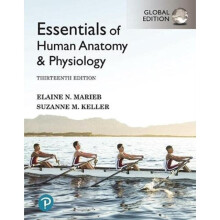 Essentials of Human Anatomy & Physiology [Global Edition] - Suzanne Keller - book