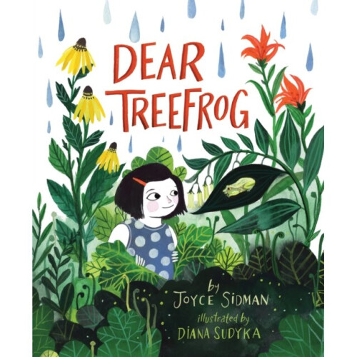 Dear Treefrog - Sidman Joyce Sidman - book
