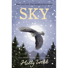 Sky - Holly Webb - book