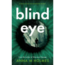 Blind Eye - Anna M Holmes - book