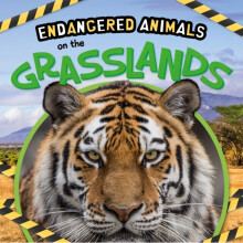 On the Grasslands - Emilie Dufresne - book