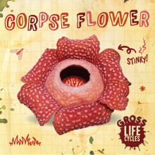 Corpse Flower - William Anthony - book