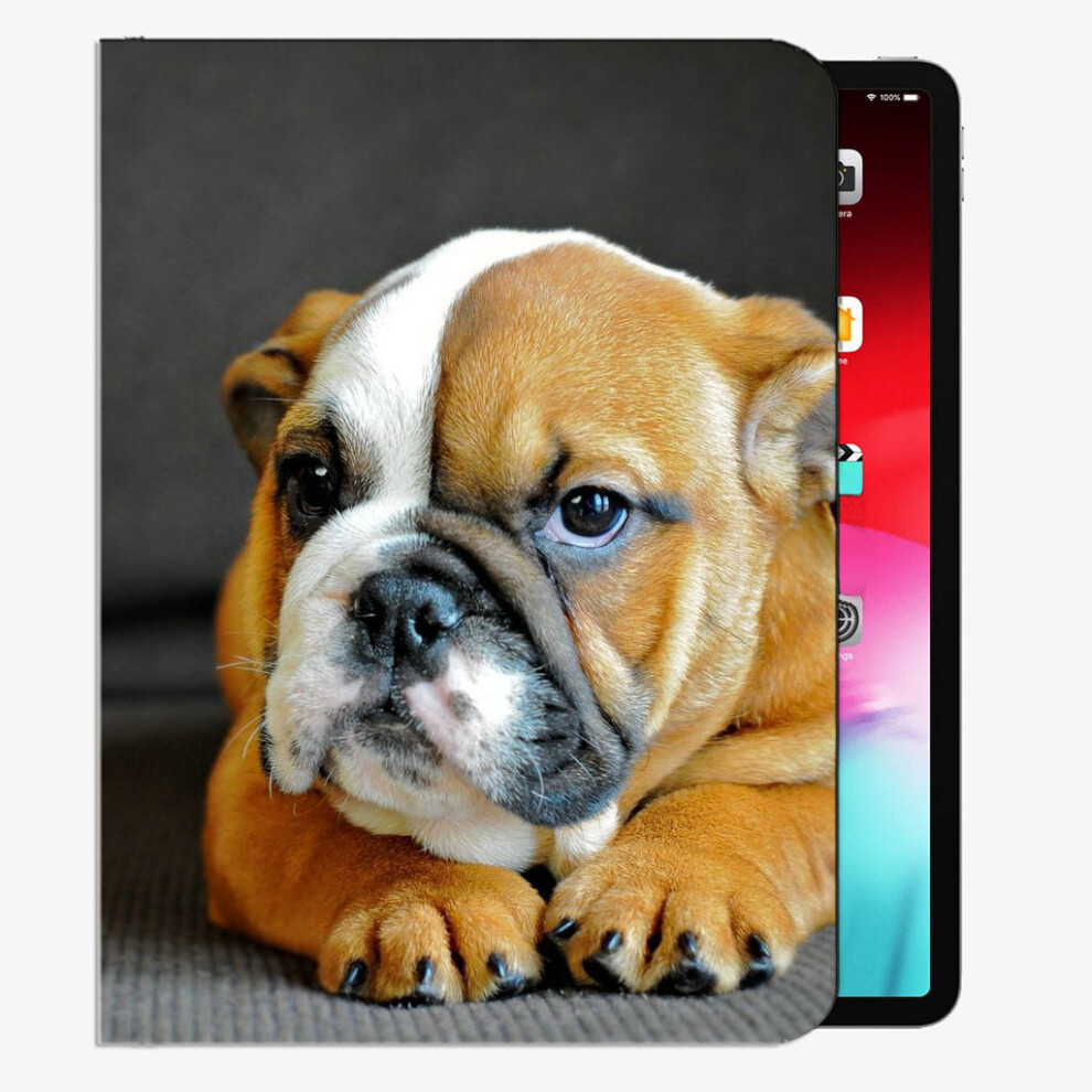 (iPad 2019 2018 10.2 inches) English Bulldog Puppy Dog Muzzle Case Slim Shell Cover For iPad iPad Pro 12.9 inch