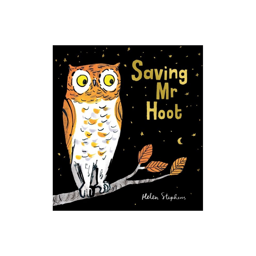 Saving Mr Hoot PB - Helen Stephens - book