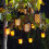 Smart Garden Smart Garden Solar Power Cool Flame String Lights Black (10 Bulbs) 1