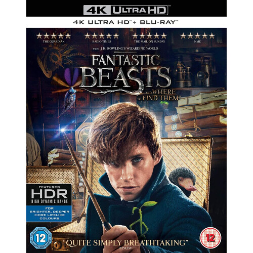 Warner Bros Fantastic Beasts and Where To Find Them (4K Ultra HD)