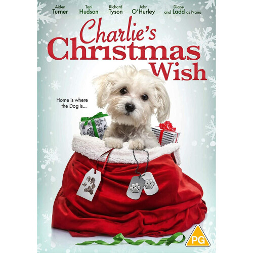 Charlie's Christmas Wish [2020] (DVD)