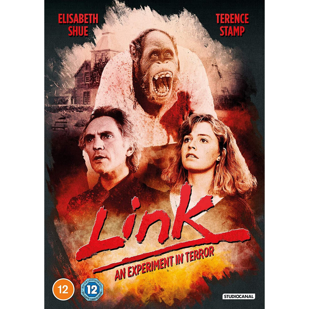Link (DVD)