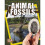 Animal Fossils 1