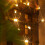 Christmas Lights 200 LED 20m/66ft Fairy Lights Mains Powered, Indoor Outdoor Christmas Tree Lights Warm White-Green Cable 5