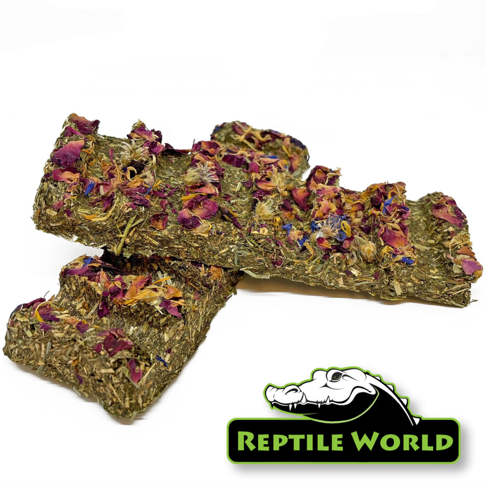 (x1) Reptile World Tortoise Flower Treat Bars - Treat Food for Tortoises