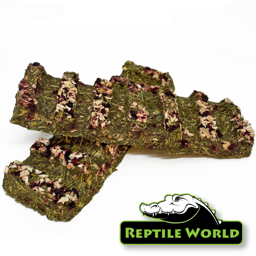 (x2) Reptile World Tortoise Veggie Treat Bars - Treat Food for Tortoises