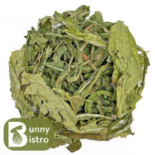 (200g) Dried PREMIUM Dandelion Leaf - Rabbit, Tortoise Food, equine herb horses