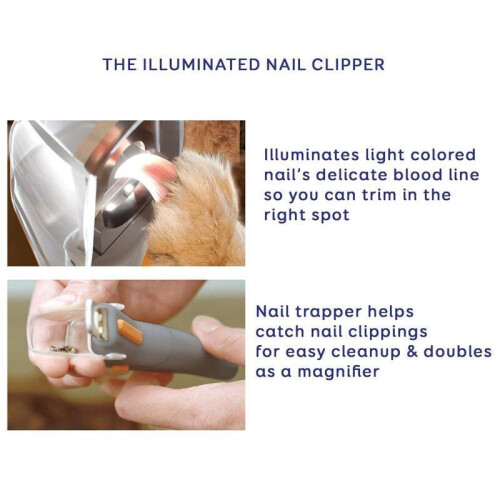 Led Light Magnifier Professional Dog Nail Clippers Illuminated 1